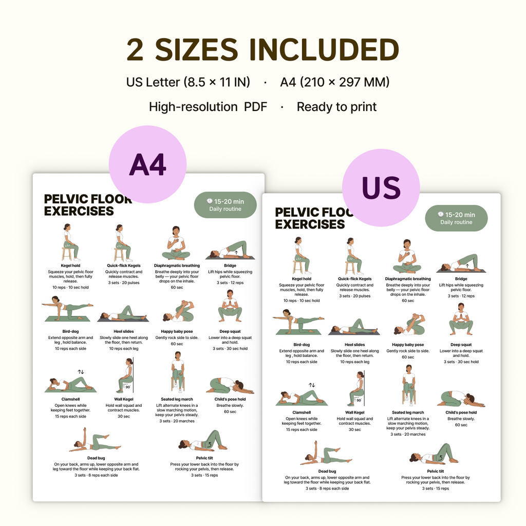 Pelvic Floor Exercises | Printable PDF